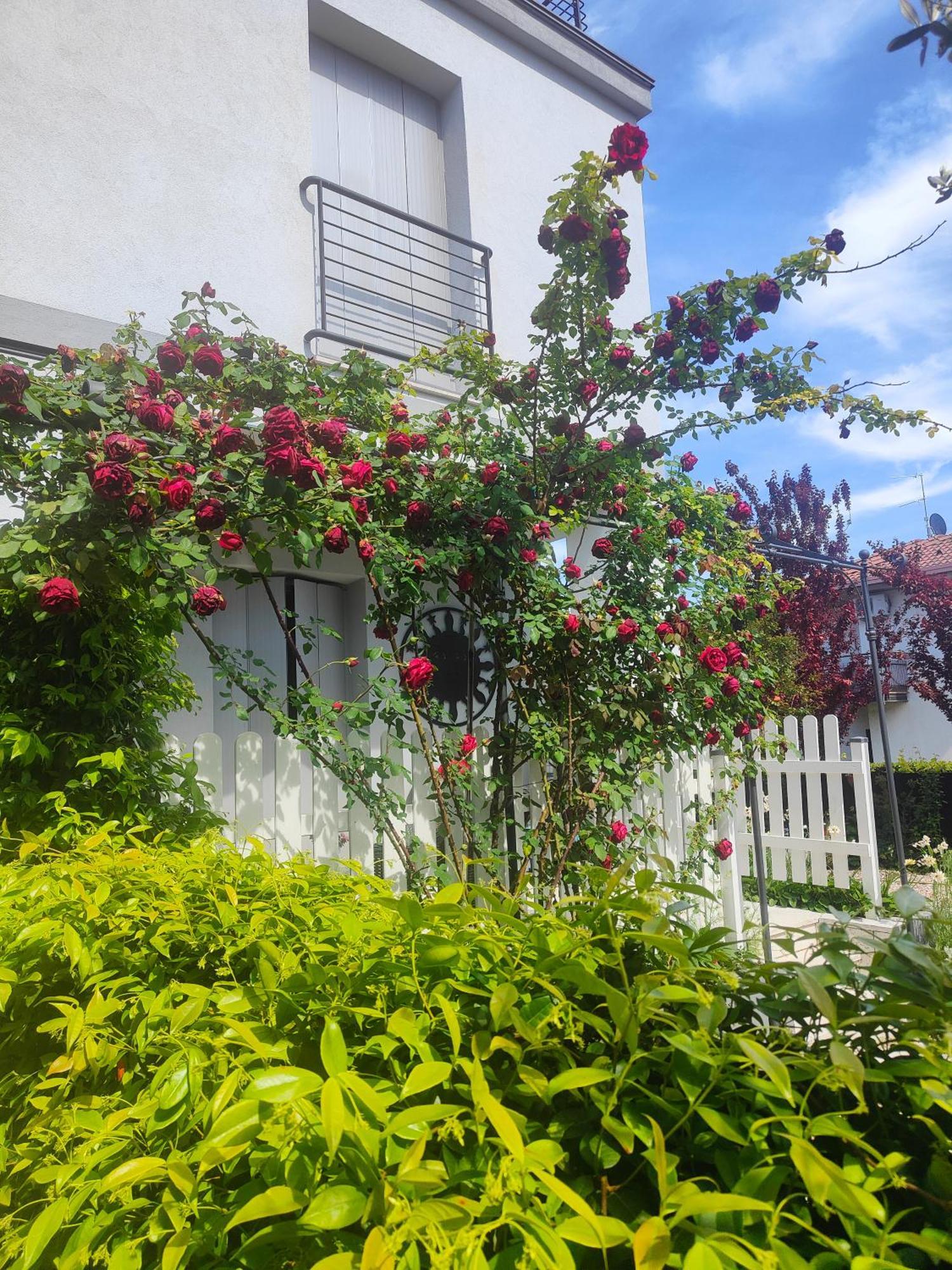 Villa Marianna Garda Lake Peschiera del Garda Ngoại thất bức ảnh