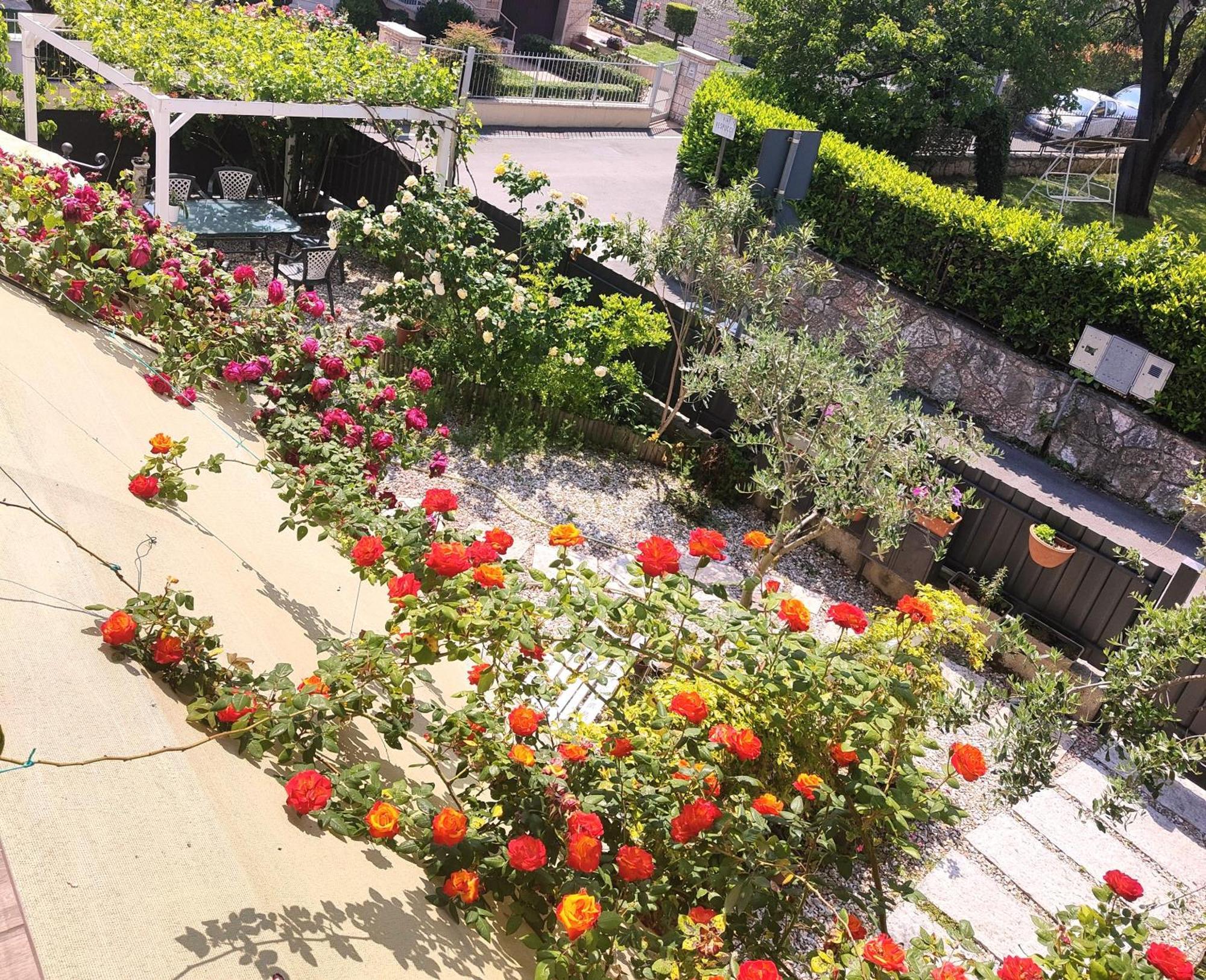 Villa Marianna Garda Lake Peschiera del Garda Ngoại thất bức ảnh